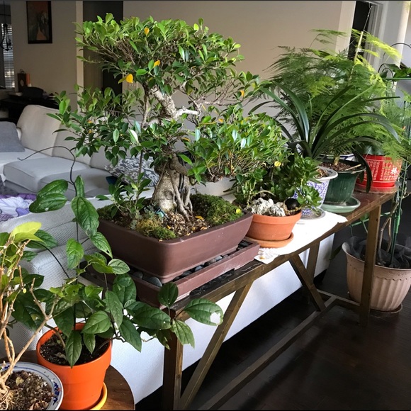 ANYTHING - Picture 8 of 16